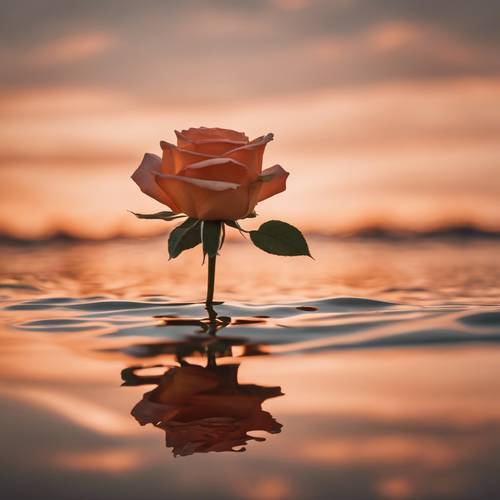 Beneath an orange summer sky, perfect rose-gold stripes sit in reflection on calm water. Tapet [dd0696752e384f478f9f]