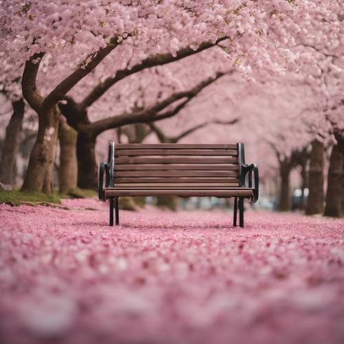 An empty park bench surrounded by fallen cherry blossom petals, symbolizing a fleeting spring moment in a minimalist fashion.