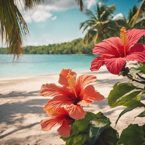 A tropical beach with palm trees adorned with vibrant hibiscus flowers.