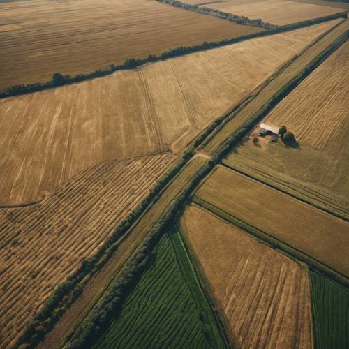 A shot of farmland from the air, crops arranged in such a way that they resemble the sign of Sagittarius.