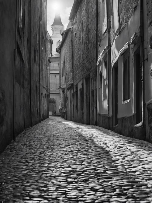 Black and white image of a narrow alley filled with light and shadow, cobblestone path, old buildings on each side.