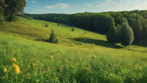 Uma vista panorâmica de um prado verdejante, rodeado por densas florestas e encontrando o horizonte sob um céu azul.