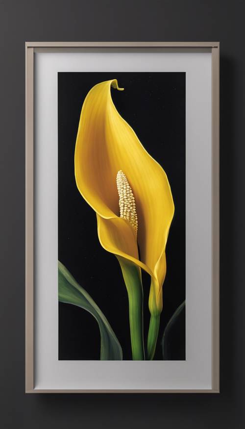 A single elegant yellow calla lily against a black background, accents its curved shape and shiny leaf.