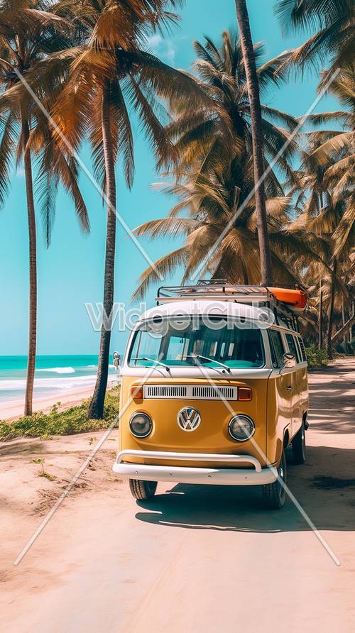 Viagem de carro pela praia tropical