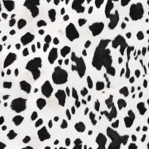 Ein nahtloses Muster, das die Haut einer Chianina-Kuh mit markanten schwarzen Flecken auf weißem Hintergrund darstellt.