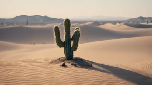 Uma miragem de um deserto com um cacto solitário, a legenda &#39;Depressão é meu coração dizendo que não consigo enfrentar o mundo&#39; no horizonte nebuloso.