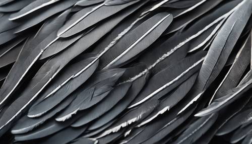 Primer plano de plumas de pingüino con textura gris oscuro.