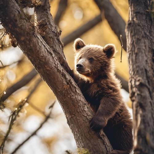 Um adorável filhote de urso marrom subindo em uma árvore.