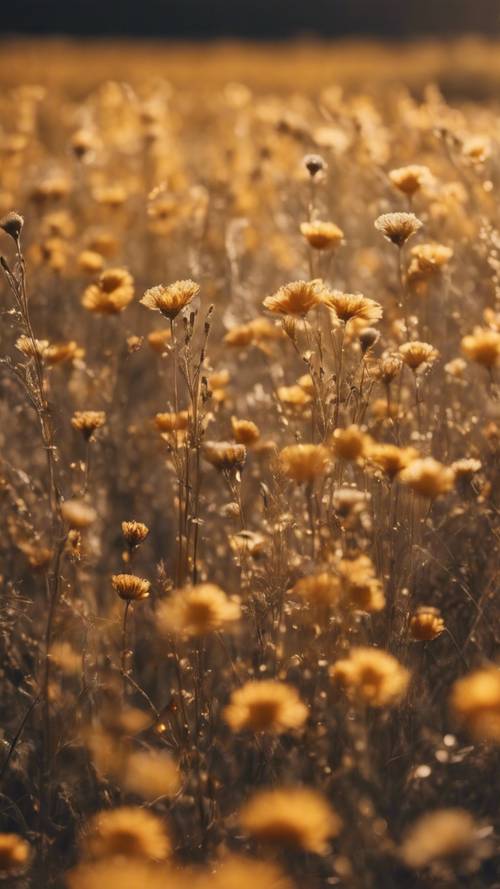 Pole pełne złotych geometrycznych kwiatów kołysających się delikatnie na wietrze.