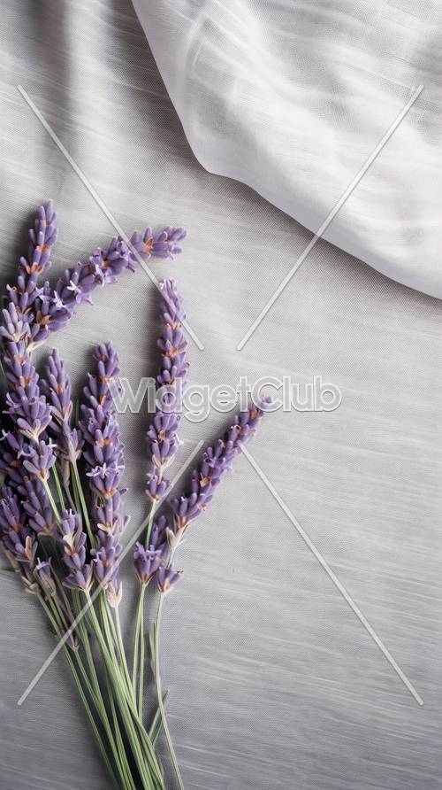 柔軟的白色織物上美麗的紫色薰衣草花