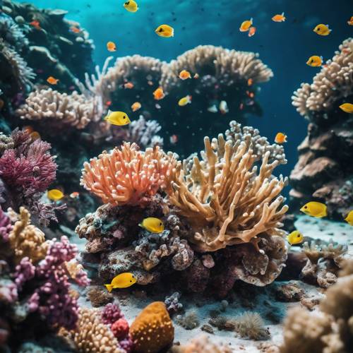 An underwater vision, featuring colorful coral reefs teeming with vibrant exotic marine life. Валлпапер [4944540705d44e9ba414]