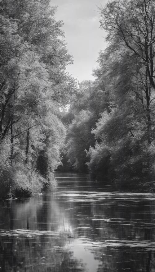 A black and white photo of a calm river intertwined with lush forests in autumn.
