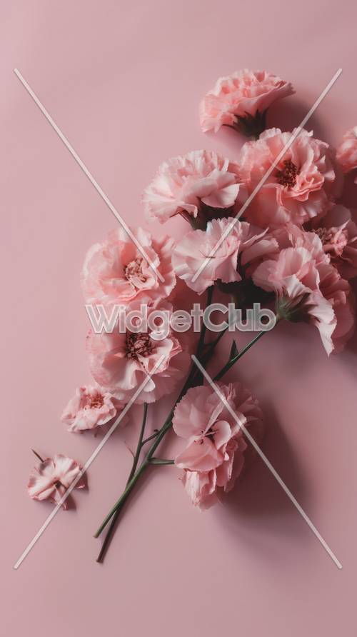 Graziosi fiori rosa su uno sfondo morbido