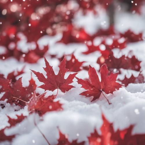 Una scena tranquilla di foglie di acero rosse sparse sulla neve bianca.