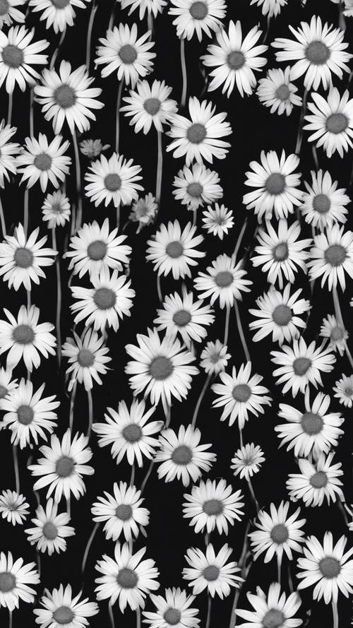 A detailed black and white pattern displaying daisies in full bloom.