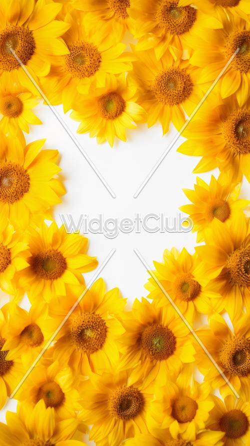 Yellow Sunflower Wallpaper [0c83e27e1e774d4791a5]