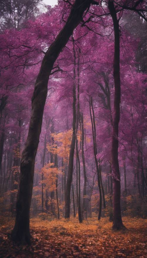 ป่าทึบที่ประกอบด้วยต้นไม้สีม่วงที่โตเต็มที่ในฤดูใบไม้ร่วง