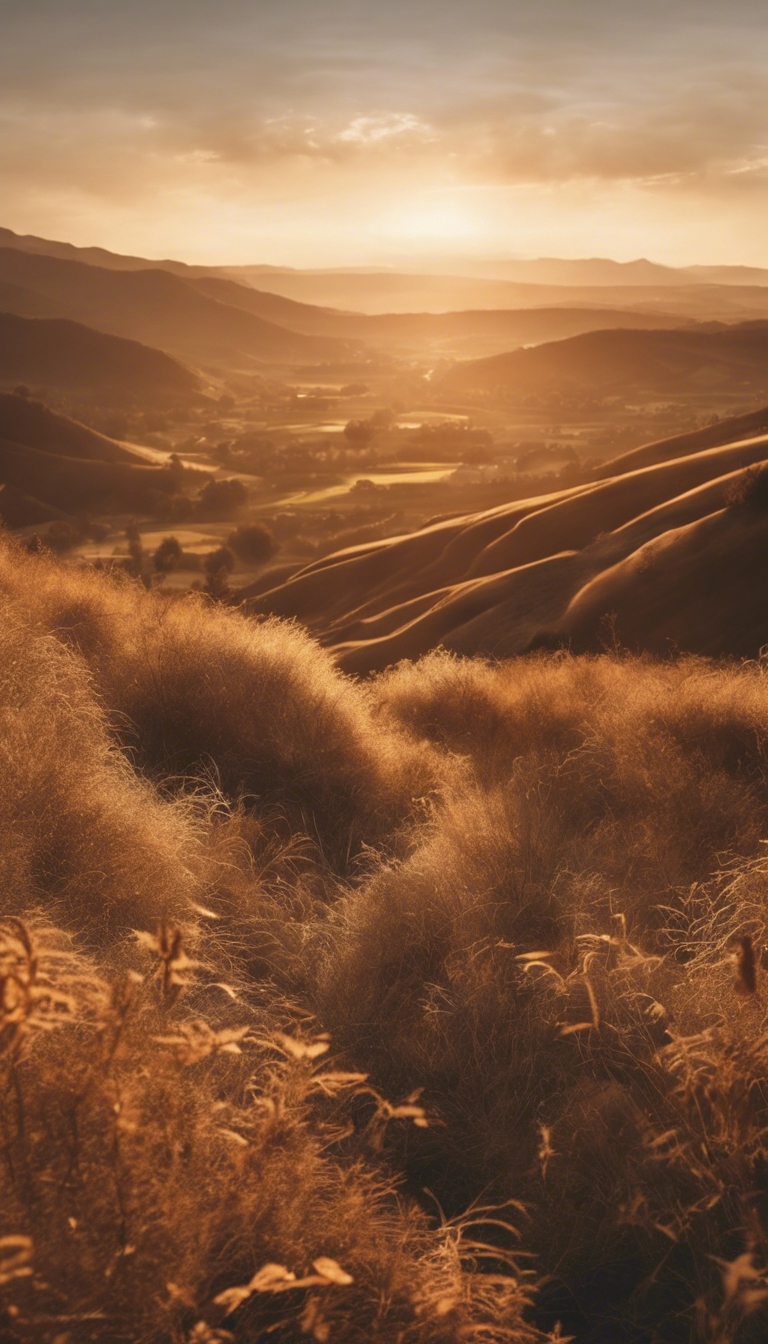 A valley bathed in the warm light of a setting sun, turning the landscape a gentle light brown Hintergrund[d51a0ad28ed14781b475]
