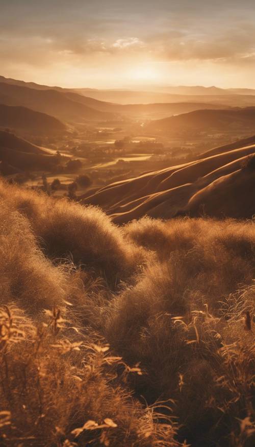 Ein Tal, getaucht in das warme Licht der untergehenden Sonne, das der Landschaft einen sanften Hellbraunton verleiht