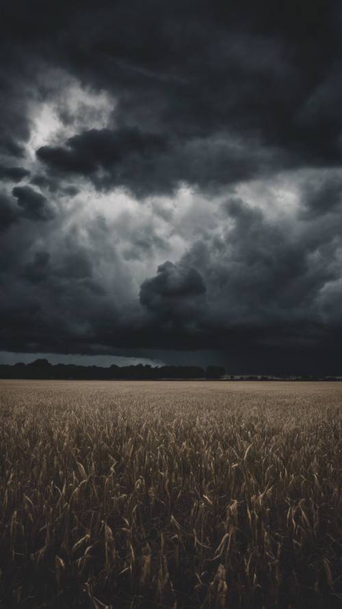 Oscuras y siniestras nubes de tormenta negras se reúnen sobre un campo desierto.