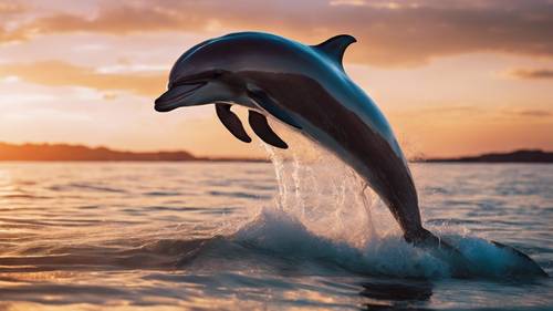 Seekor lumba-lumba dengan anggun melompati permukaan laut di bawah langit yang dilukis dengan warna senja yang cemerlang.