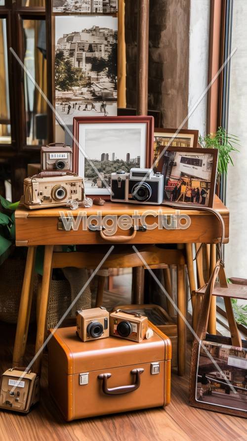 Vintage Cameras and Old Photos Display
