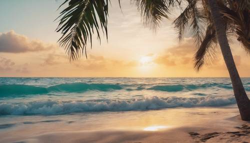 热带海滩上的日出，有清澈碧绿的海水和棕榈树。