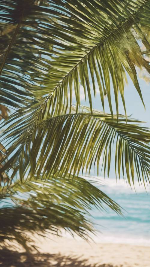 在炎热、阳光明媚的夏威夷海滩上，微风吹拂的棕榈叶为您带来阴凉。