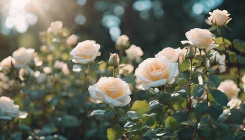 Taman yang rimbun dan cerah dipenuhi bunga mawar teal yang bermekaran.