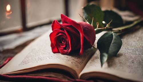 Eine romantische rote Rose, zwischen den Seiten eines alten, abgenutzten Buches versteckt. Hintergrund [dd9b401d036146d687c0]