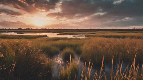 Sunset over a marshland, aesthetic quotes formed by the marsh grasses