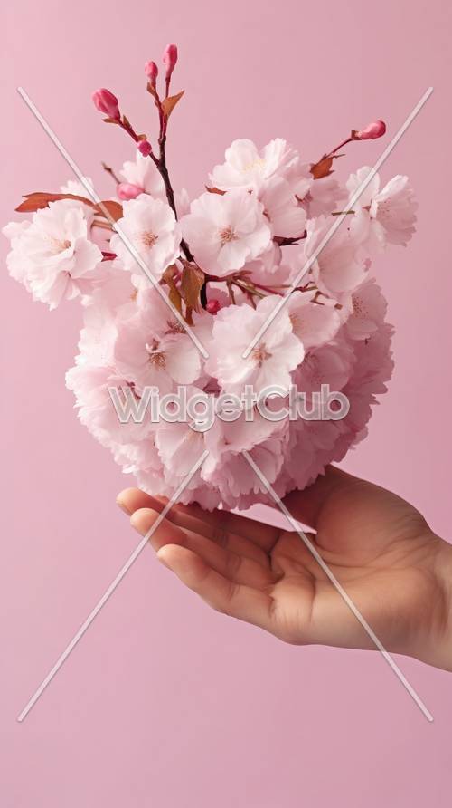Flores de cerejeira na mão: uma exibição floral rosa simples e bonita