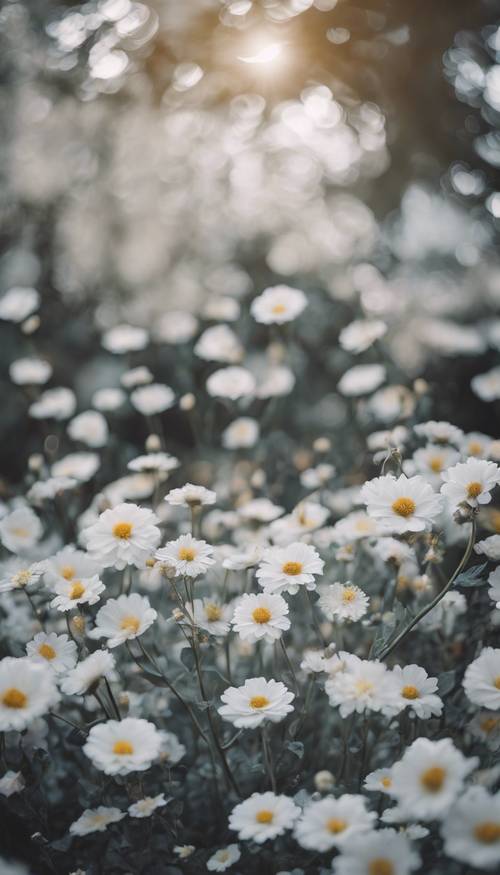 A whimsical garden filled with gray and white flowers in full bloom.