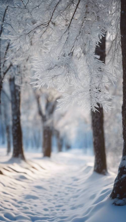 A cool paint of an enchanting winter scene, with silver frost clinging to the trees and fresh snow undulating in the wind.