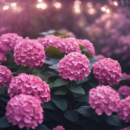 An ethereal moonlit scene of a pink hydrangea garden, shimmering in the cool night.