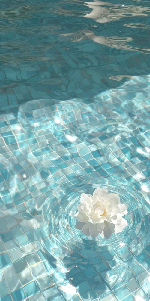 Shimmering Pool with a Floating White Flower Tapeta na zeď [8485235877f64680a317]