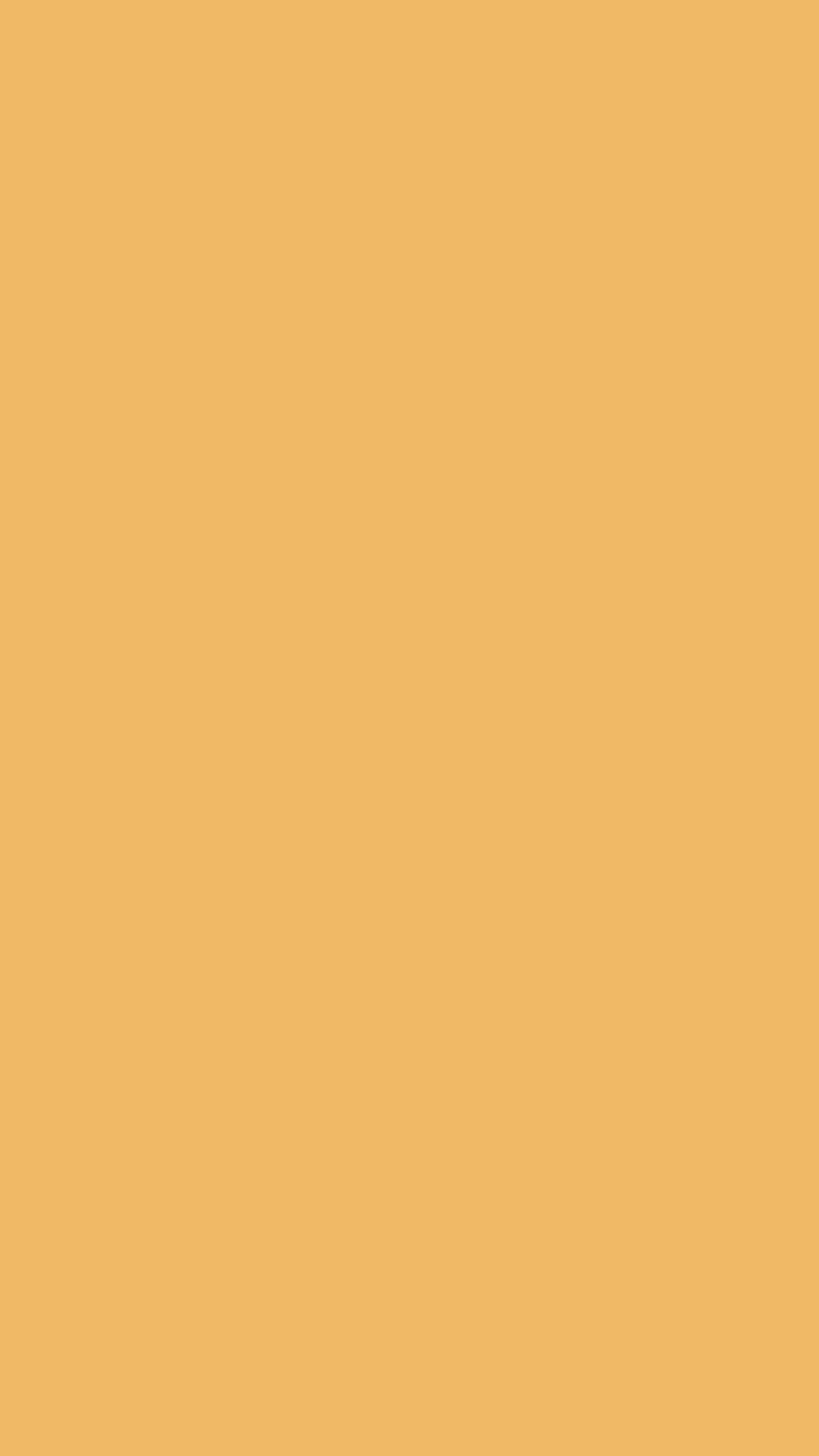 Sunny Orange Color Burst ورق الجدران[a13a489cbca54770aee7]