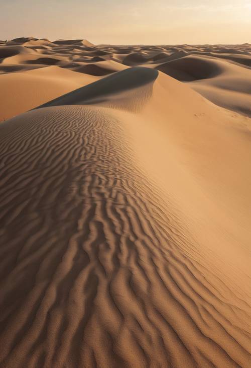 Una scena desertica sabbiosa, con il vento che forma increspature e motivi sulle dune.