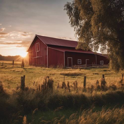 A rustic wooden barn painted dark red under the setting sun in a picturesque farm