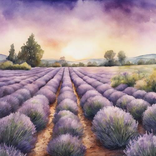 Lukisan cat air dari ladang lavender vintage di senja hari.
