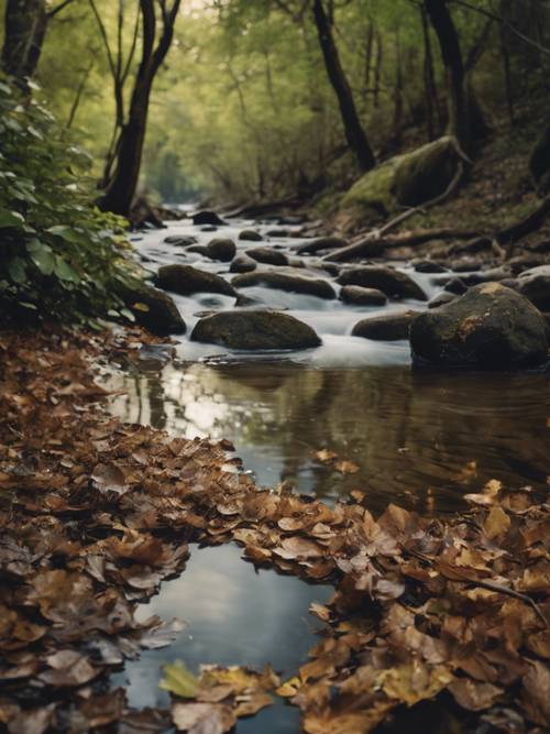 Un tranquillo ruscello in una foresta, con la scritta &quot;La serenità non è la libertà dalla tempesta; è la pace nella tempesta&quot; realizzata con le foglie sulla superficie dell&#39;acqua.