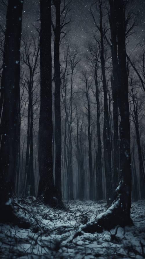 Una foresta di legno nero inquietante e bellissima sotto un cielo notturno stellato.