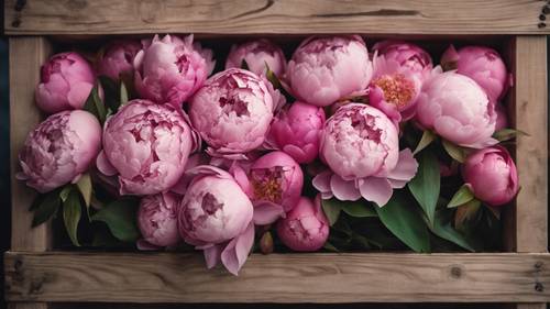 Une caisse en bois rustique remplie d’un somptueux bouquet de pivoines roses.