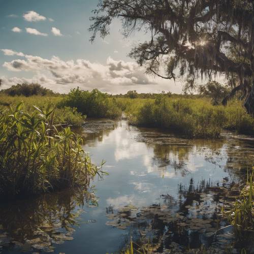 A postcard-esque panorama of Florida's Everglades from the 1930s, with untouched wilderness, a streaming river, and abundant wildlife. Behang [a8b5f3b197b245249e07]