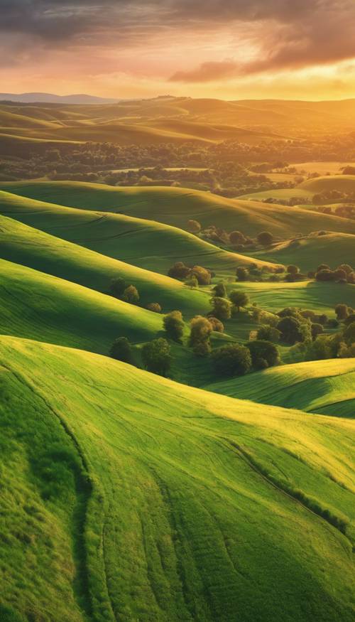A panoramic view of rolling green hills under a vibrant sunset sky. Tapet [97ca8bd509f34a56a91e]