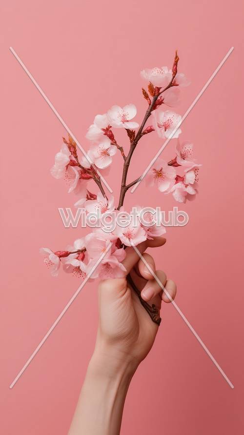 Bunga Sakura di Tangan dengan Latar Belakang Merah Muda