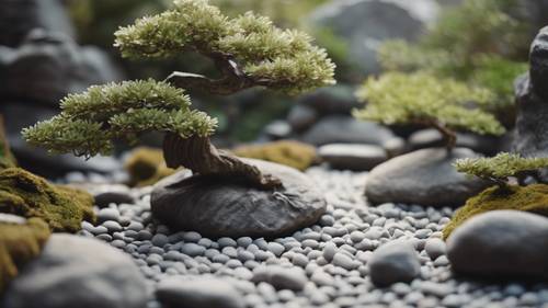 Un tranquillo giardino Zen con sentieri di ciottoli, delicati alberi bonsai e grandi rocce grigio seta.