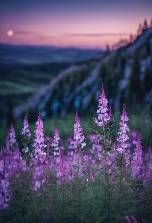 A moonlit night view of a field filled with glowing blue and white Fireweed flowers