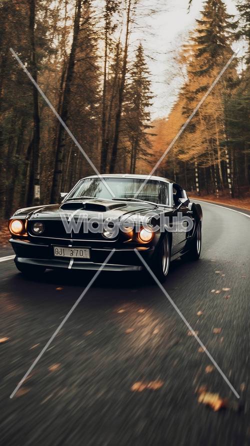 Classic Black Car Driving through Autumn Forest