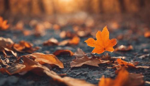 Feuilles d&#39;automne rustiques sur un sol avec une aura orange invitante
